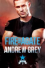 Fire and Agate by Grey, Andrew