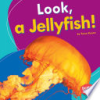 Look__a_jellyfish_