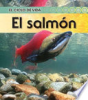 El_salmon
