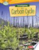 Investigating_the_carbon_cycle