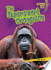 The_supersmart_orangutan