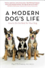 A_modern_dog_s_life