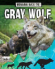 Bringing_back_the_gray_wolf