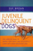 Juvenile_delinquent_dogs