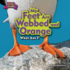 My_feet_are_webbed_and_orange