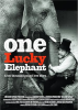 One_lucky_elephant