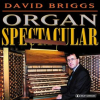 Organ_Recital__Briggs__David_-_Briggs__D____Walton__W____Faur____G____Nevin__G_b____Vierne__L____R