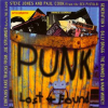 Punk__Lost___Found