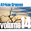 African_Grooves_Vol_14