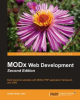 MODx_Web_Development