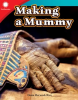 Making a Mummy by Rice, Dona Herweck