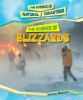The_Science_of_Blizzards