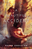 A_Beautiful_Accident