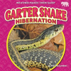 Garter_Snake_Hibernation