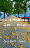 Una Historia Sentimental by Lapeira, Sergi Castillo