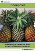 Pineapple__Growing_Practices_and_Nutritional_Information