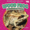 Wood_Frog_Hibernation