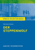 Der_Steppenwolf_von_Hermann_Hesse__Textanalyse_und_Interpretation_mit_ausf__hrlicher_Inhaltsangabe