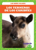 Los_terneros_de_los_carib__es__Caribou_Calves_