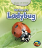 Life_Story_of_a_Ladybug