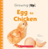 Egg_to_Chicken