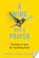A_wing_and_a_prayer