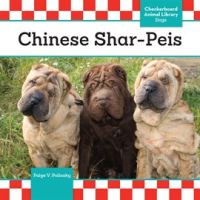Chinese_Shar-Peis
