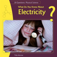 What_Do_You_Know_About_Electricity_