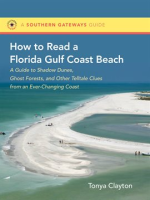 How_to_Read_a_Florida_Gulf_Coast_Beach
