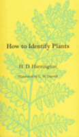 How_to_identify_plants