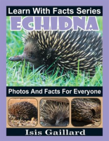 Echidna_Photos_and_Facts_for_Everyone