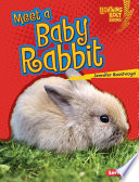 Meet_a_baby_rabbit