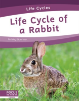 Life_Cycle_of_a_Rabbit