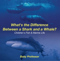 What_s_the_Difference_Between_a_Shark_and_a_Whale_