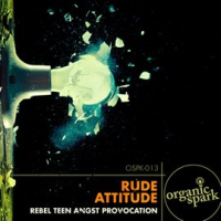 Rude_Attitude