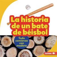 La_historia_de_un_bate_de_b__isbol__The_Story_of_a_Baseball_Bat_