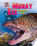 Moray_eel___dangerous_teeth