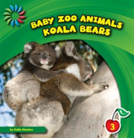 Koala_Bears