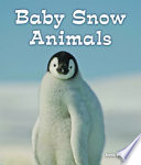 Baby_snow_animals