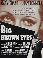 Big_brown_eyes