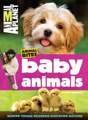 Baby_animals