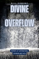 Divine_Overflow