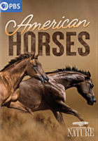 American_horses