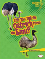 Can_You_Tell_an_Ostrich_from_an_Emu_