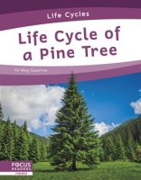 Life_Cycle_of_a_Pine_Tree