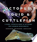 Octopus__squid___cuttlefish