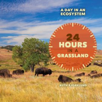 24_Hours_in_a_Grassland