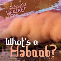 What_s_a_Haboob_