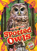 Spotted_owls
