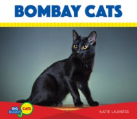 Bombay_Cats